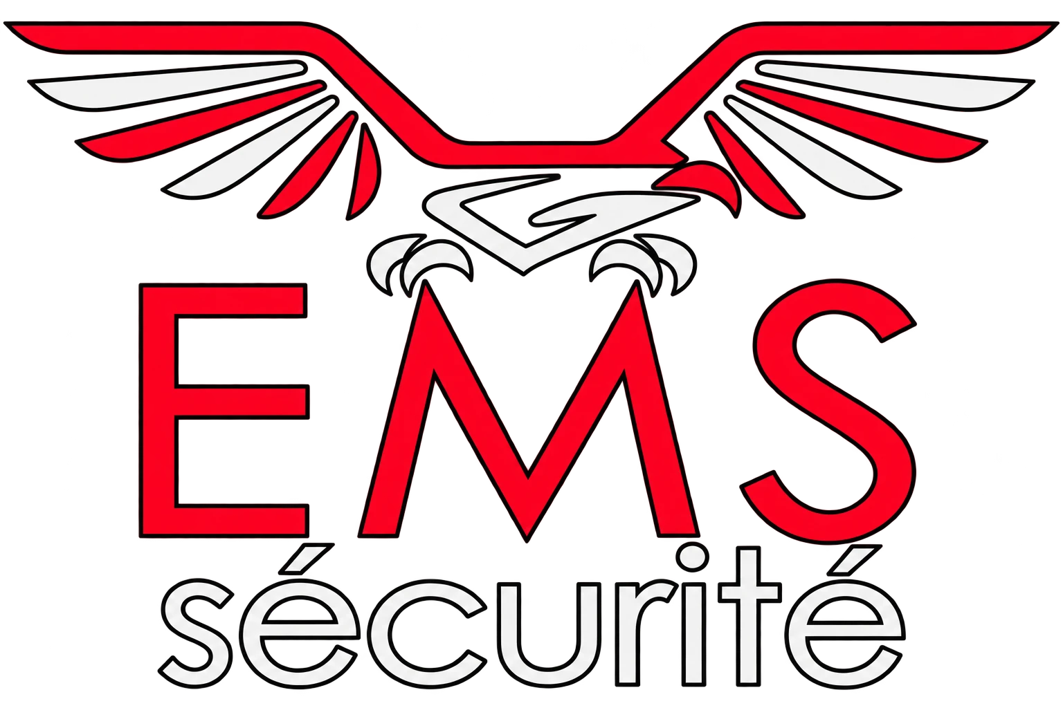 EM Sécurité